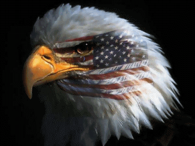eagle crying