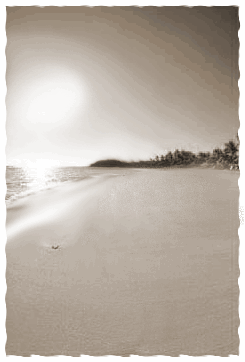 footprints